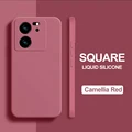 Camellia red