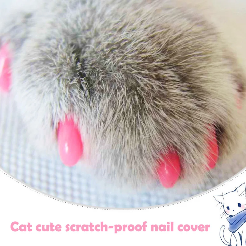 Protector Cat Nail Soft Nail Caps Cat Cat Nail Caps Covers Pet Nail Protector 20pcs