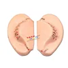 8 Cm Ear Acupuncture Model Auricular Application Ear Acupuncture Points Model  Ear Acupuncture Earpins 3