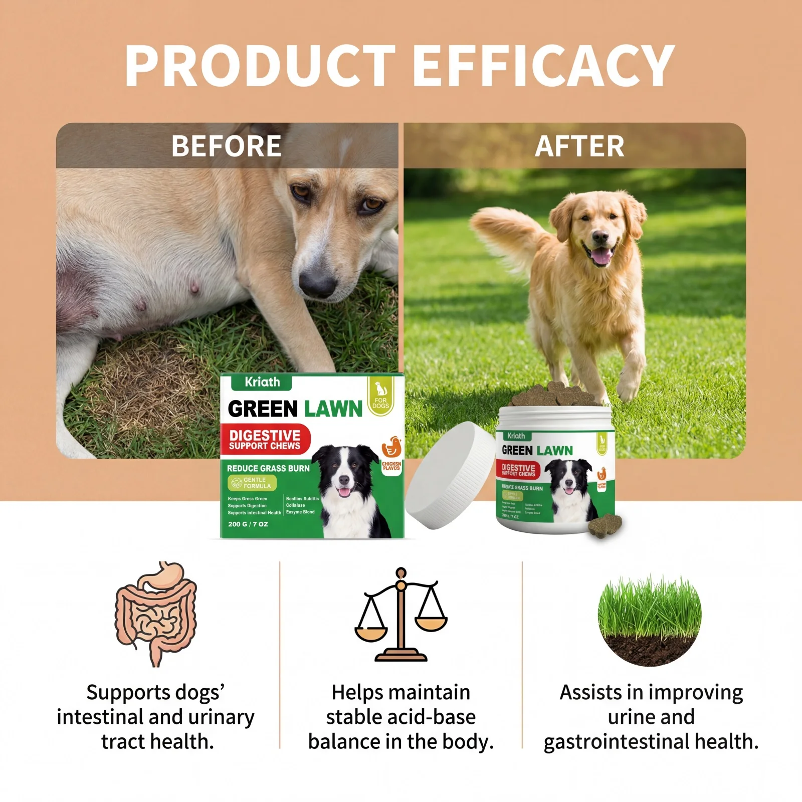 Natural Dog Digestive Support Probiotic Chews Chicken Flavored Supplement for Constipation Relief Puppy Stomach Care 200g