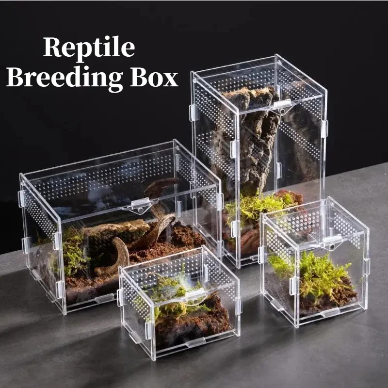 Rettile Habitat Terrario Scatola Di Allevamento Custodia In Acrilico Nano Arboreal Tarantola Enclosure Spider Scorpion Bearded Dragon Habitat