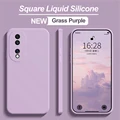 Grass Purple