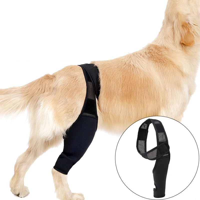 Dog Knee Brace For Support With Cruciate Ligament Injury, Joint Pain And Muscle Sore, Better Recovery With Dog ACL Knee Brace