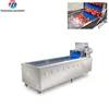 Manufactory Direct ginger washing machine Automatic vegetable washers washing machine for vegetable 1