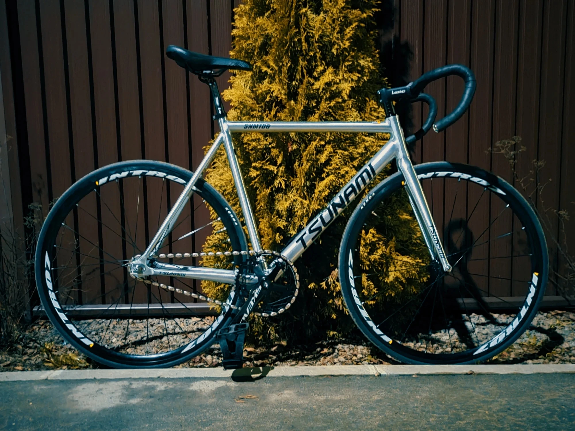 TSUNAMI SNM100 bicicleta de piñón fijo marco de aleación de