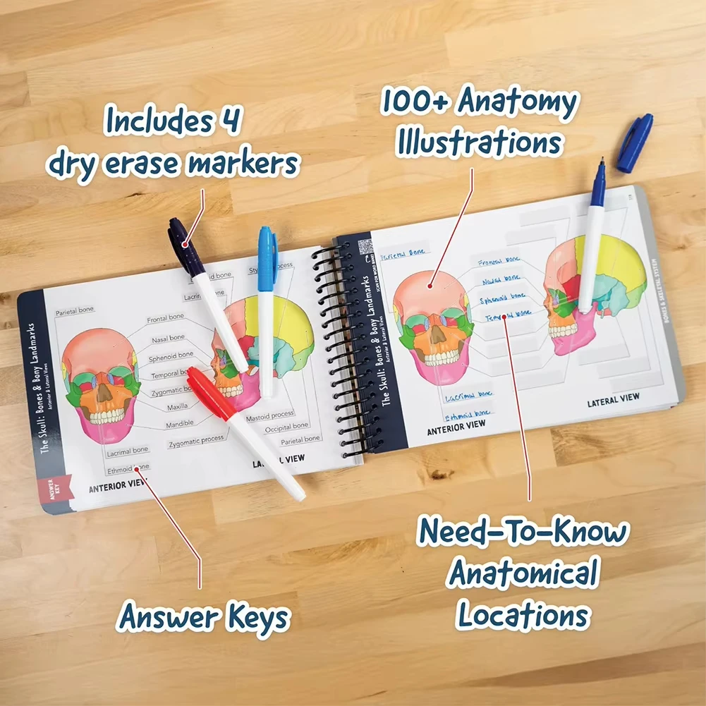 100+ Detailed Anatomy Illustrations Book 6