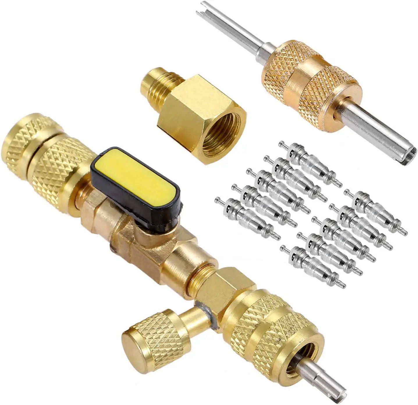 Dual-Port Valve Core Remover & Installer Tool Kit