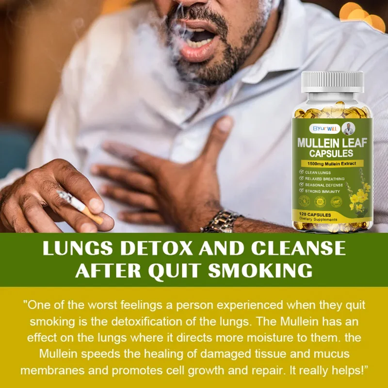 Mullein Leaf Extract Lung Detox Capsules Organic Mullein Extract Capsules Suitable For Lung & Bronchial Cleanse for Smokers Respiratory Health Support Gut Health
