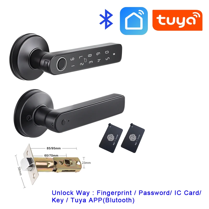 Tuya lock