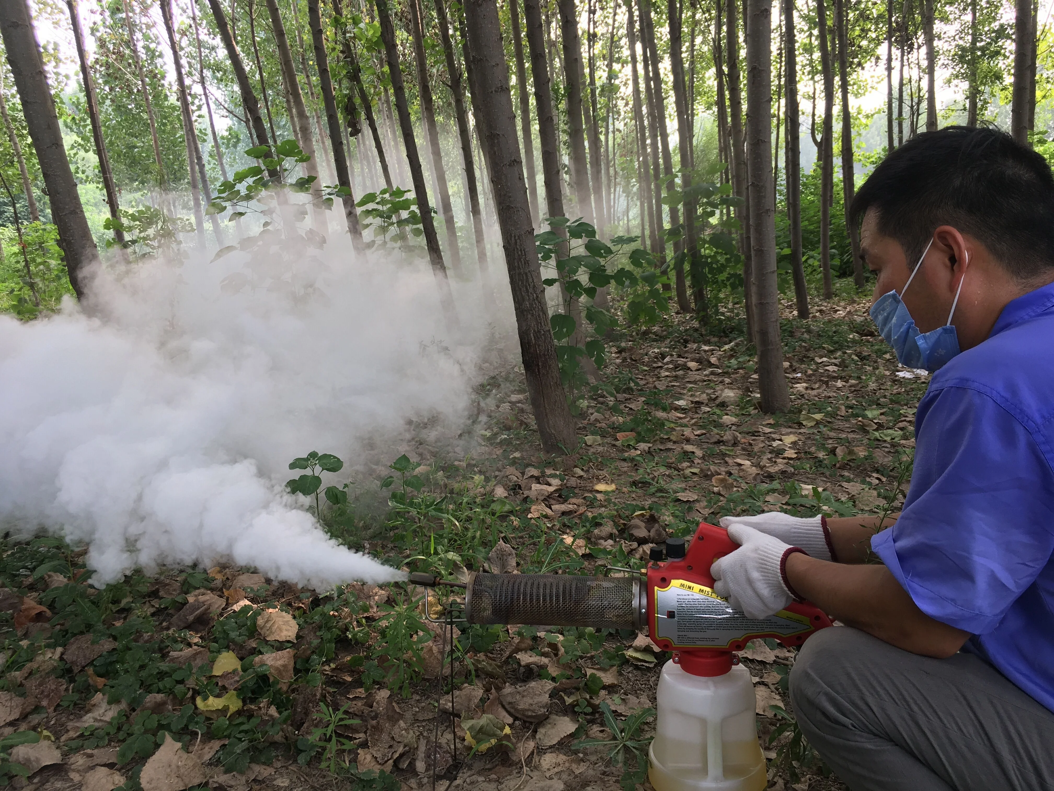 Beste Propaandesinfectie Insectenbestrijding Mini Mistmist Fogger Met Goedkope Prijs