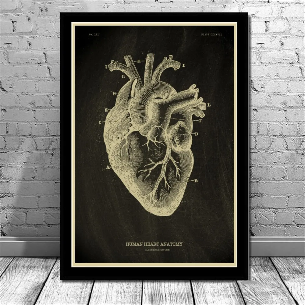 Human Anatomy Artwork Medical Hospital Wall Picture Skeleton Organ
