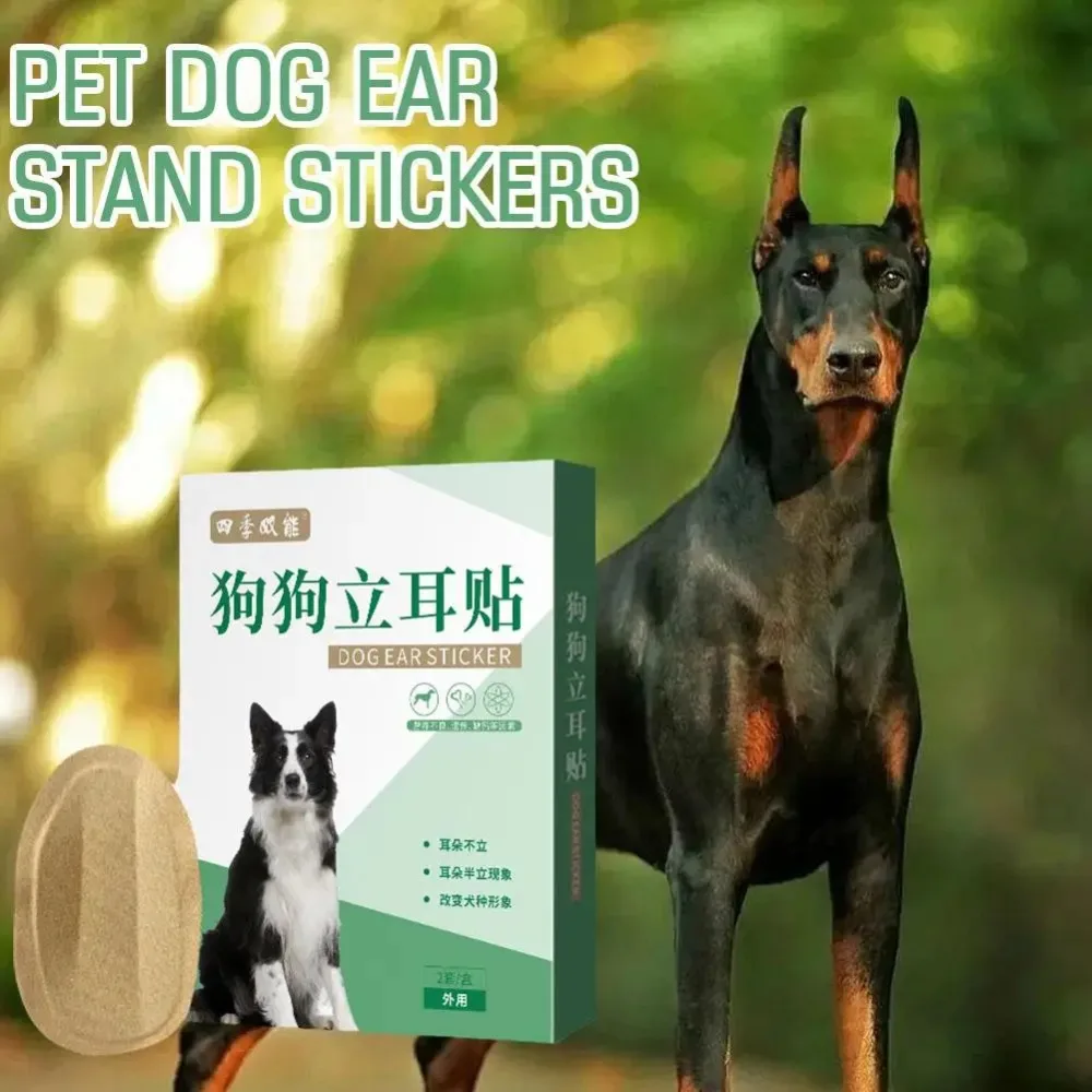 2pcs/set Pet Dog Ear Stand Up Stickers Ear Correction Dog Supplies Ear Care Tools Convenient Effective 4