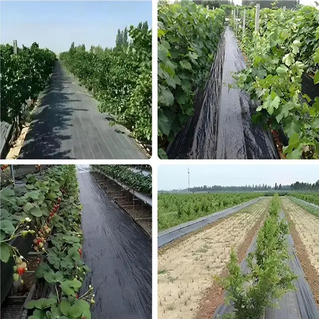 Tájszövet -Szövet Év Gyomnövény Geotextil Szövet Nagy Teherbírású Táj Talajtakaró Vastagabb Gyomirtás Kertészkedés Antigrass - Image 3