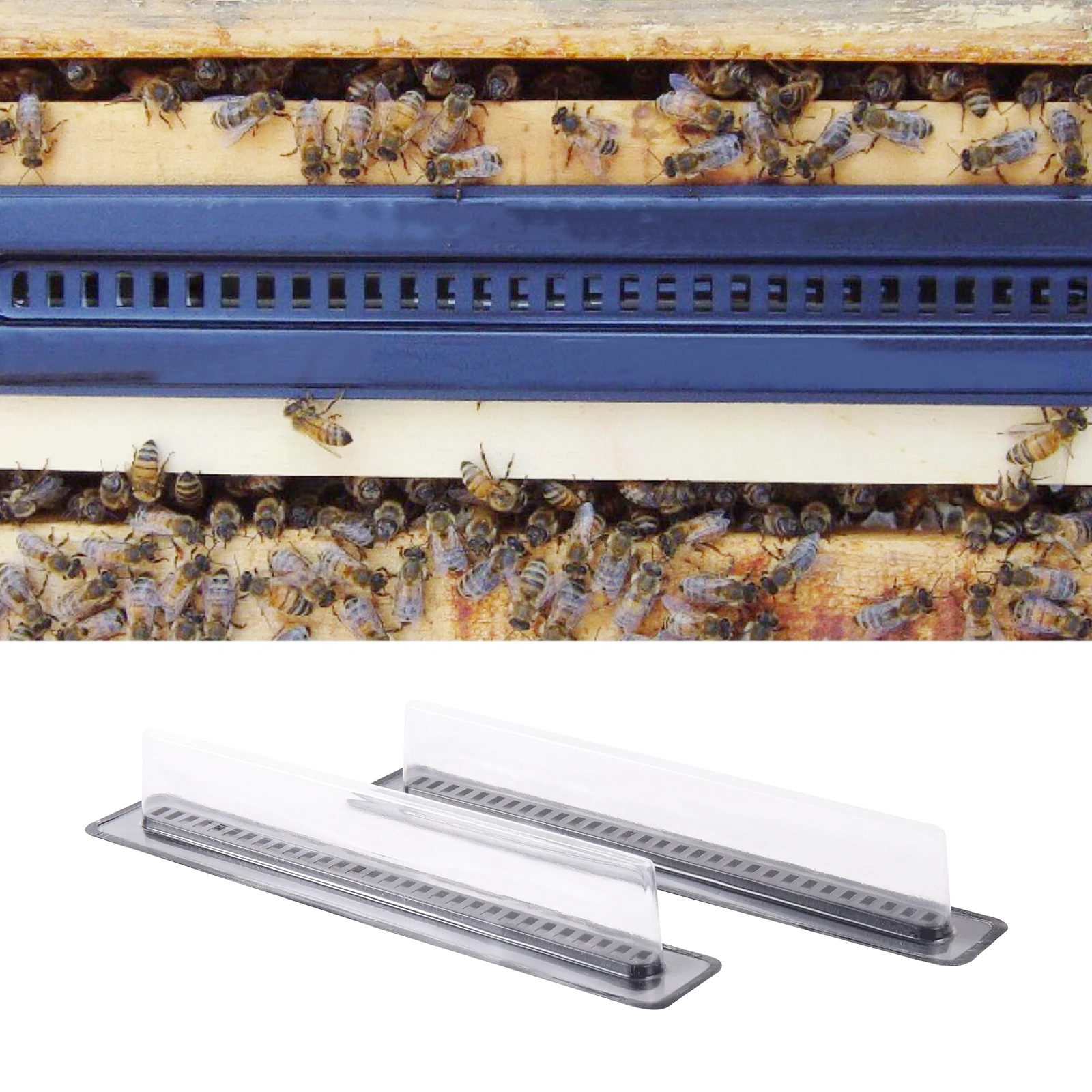 5/20 Pcs Beehive Beetle Trap Beekeeping Tools Beehive Beetle Traps Reusable Protect Bee Colony Beekeeping Trapping Equipment