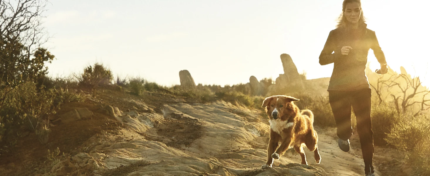 Dog running with owner outside