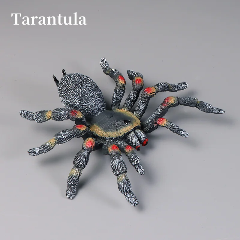 FLORMOON Ragno Giocattolo Realistico: Figura Educativa Per Bambini, Perfetta Per Halloween