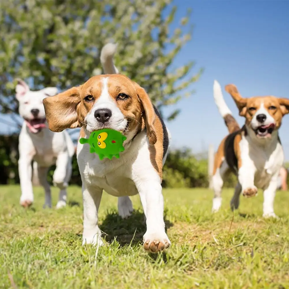 Indestructible Dog Chew Toys - PeticaDeals