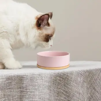 Pet Dog Bowl Winter Heated Pet Food Bowl Automatic Constant Temperature Electric Heating Bowl Dog Cat Water Dispenser Pet Feeder 2