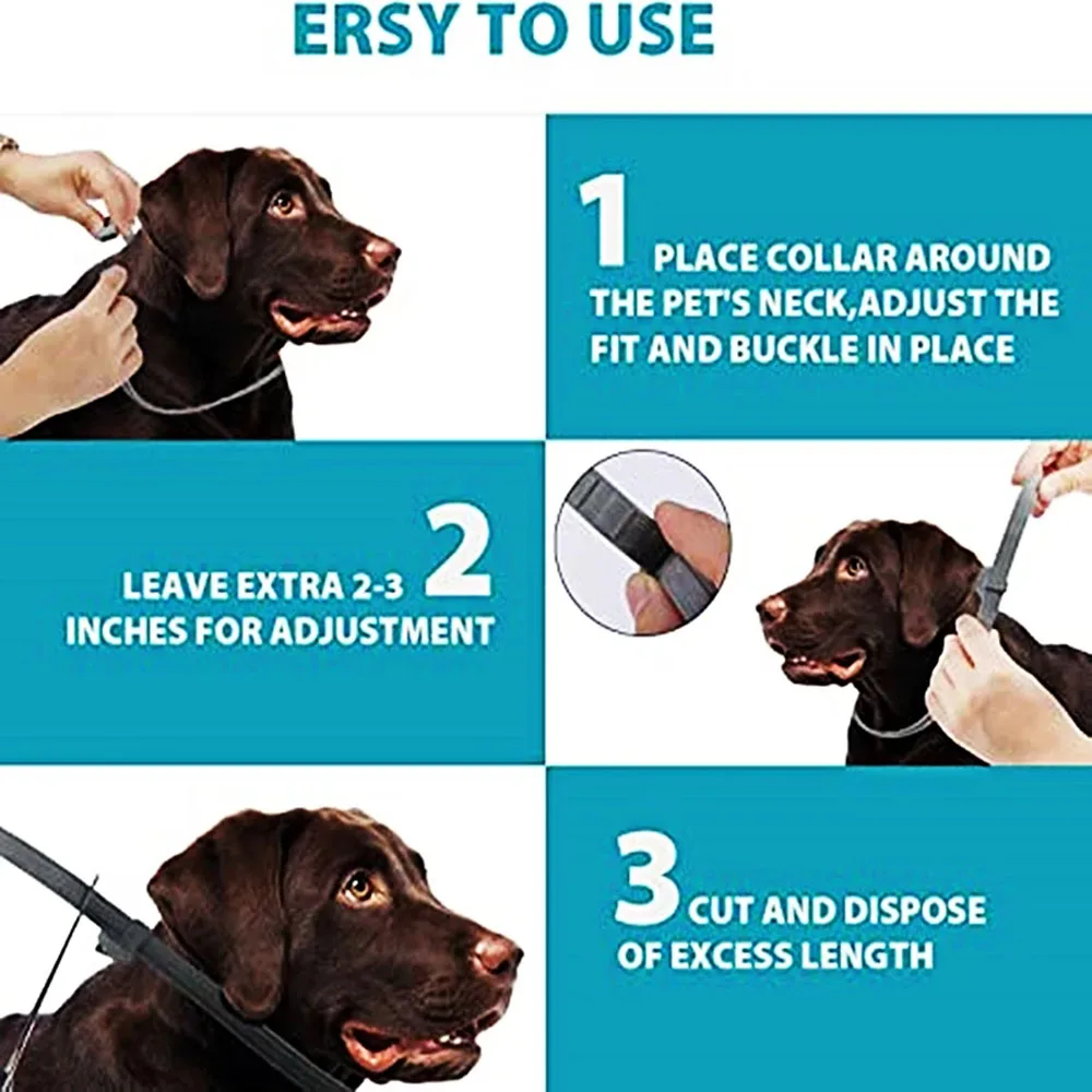 Dog Collar Puppy Cat Plastic Collar For Small Medium Large Dogs Cats Pet Items Dog Accessories Suppliers dog collar