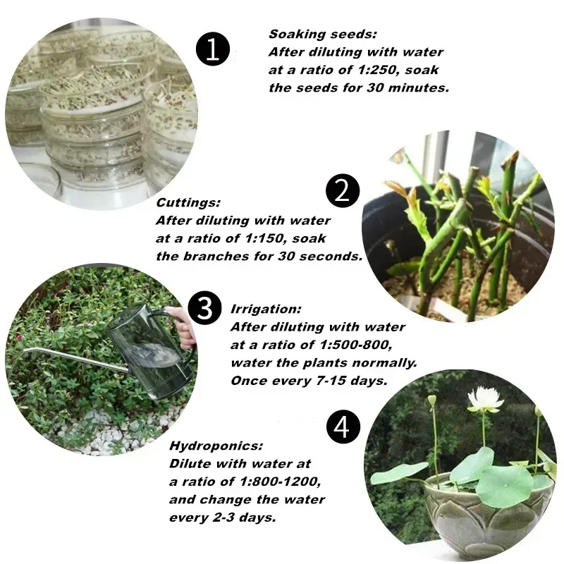 10g Quickly Rooting Powder Hormone Regulators Growing Seedling Recovery Germination Vigor Aid Fertilizer Home Garden indole butyric acid potassium