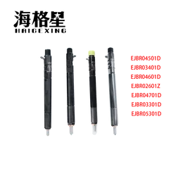 EJBR04501D EJBR03401D EJBR04601D EJBR02601Z EJBR04701D EJBR03301D EJBR05301D For HaiGeXing Delphi Injector ssangyong