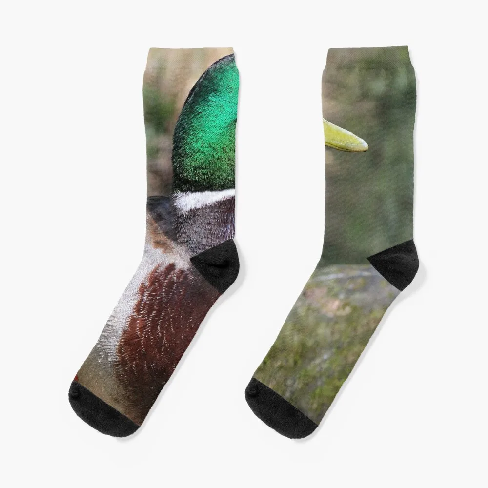 

A Mallard Duck Socks with print custom golf men cotton high quality Socks Women Men's