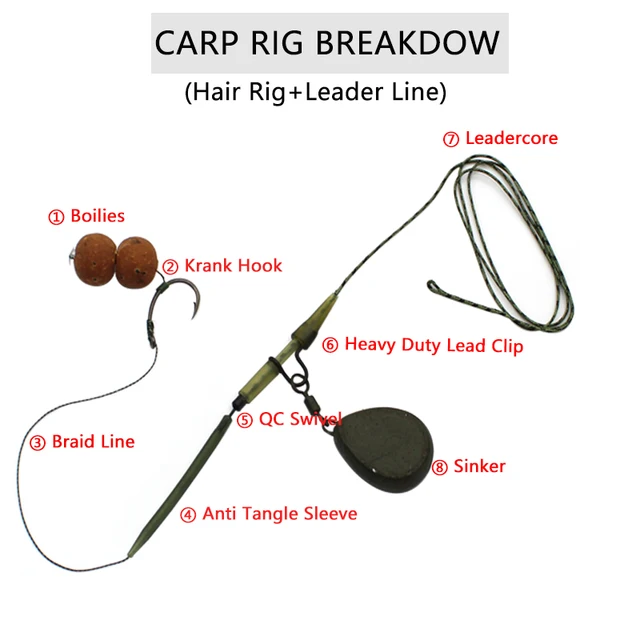 Carp Rigs Ronnie Rig Helicopter Style Best Carp Fishing Ronnie