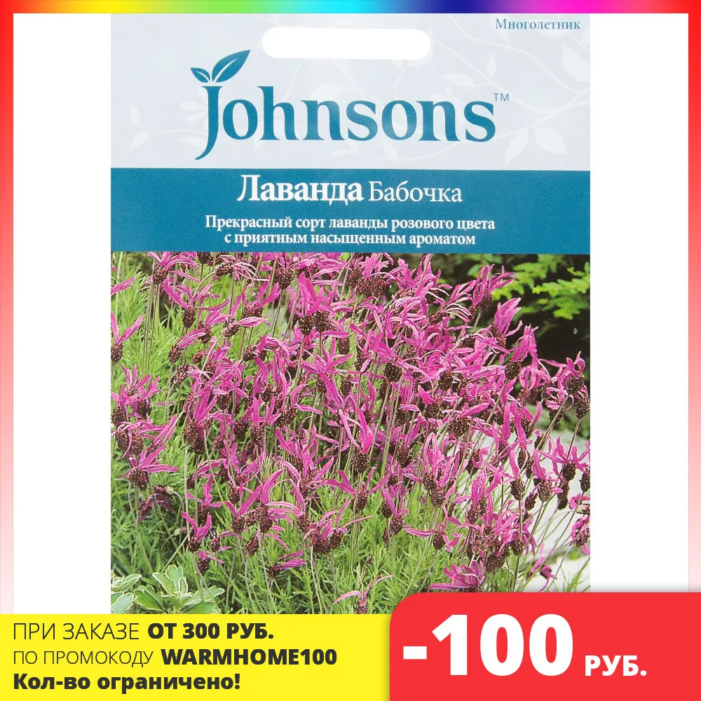 Lavender &quotbutterfly&quot 35 PCs | free shipping of RF 1 pack lavender PCsPlant seeds Flower for a garden Orchard and plants fertilizers flowers