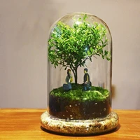 15*30cm Big Size Seperated Glass Dome Vase Home Decoration Transparent Higher Base Cover DIY Friend Gift Wedding Prop 1