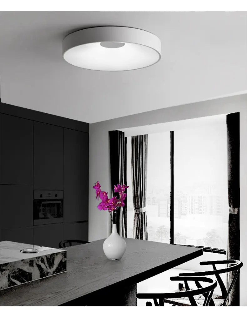 led ceiling lamp modern minimalist Nordic creative personality intelligent remote control dining room bedroom living room lamps ceiling spotlights