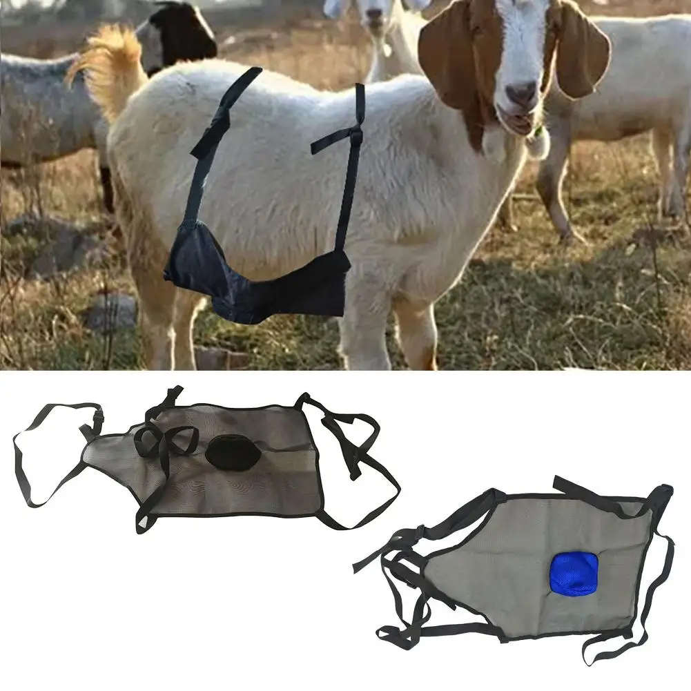 Anti Breeding Apron For Goats Sheep Breeding Control Apron With Adjustable Strap Anti Mating Clothing For Goat