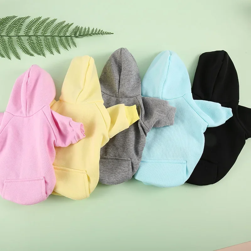 Stylish and Trendy Designs Clothes for Cats