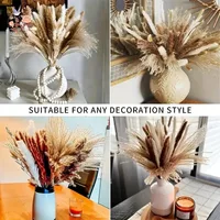 100Pcs Natural Fluffy Pampas Dried Flowers Bouquet