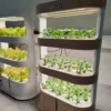 Hydroponic intelligent multi-layer vegetable planter indoor soilless cultivation equipment for vegetable seedlings 4
