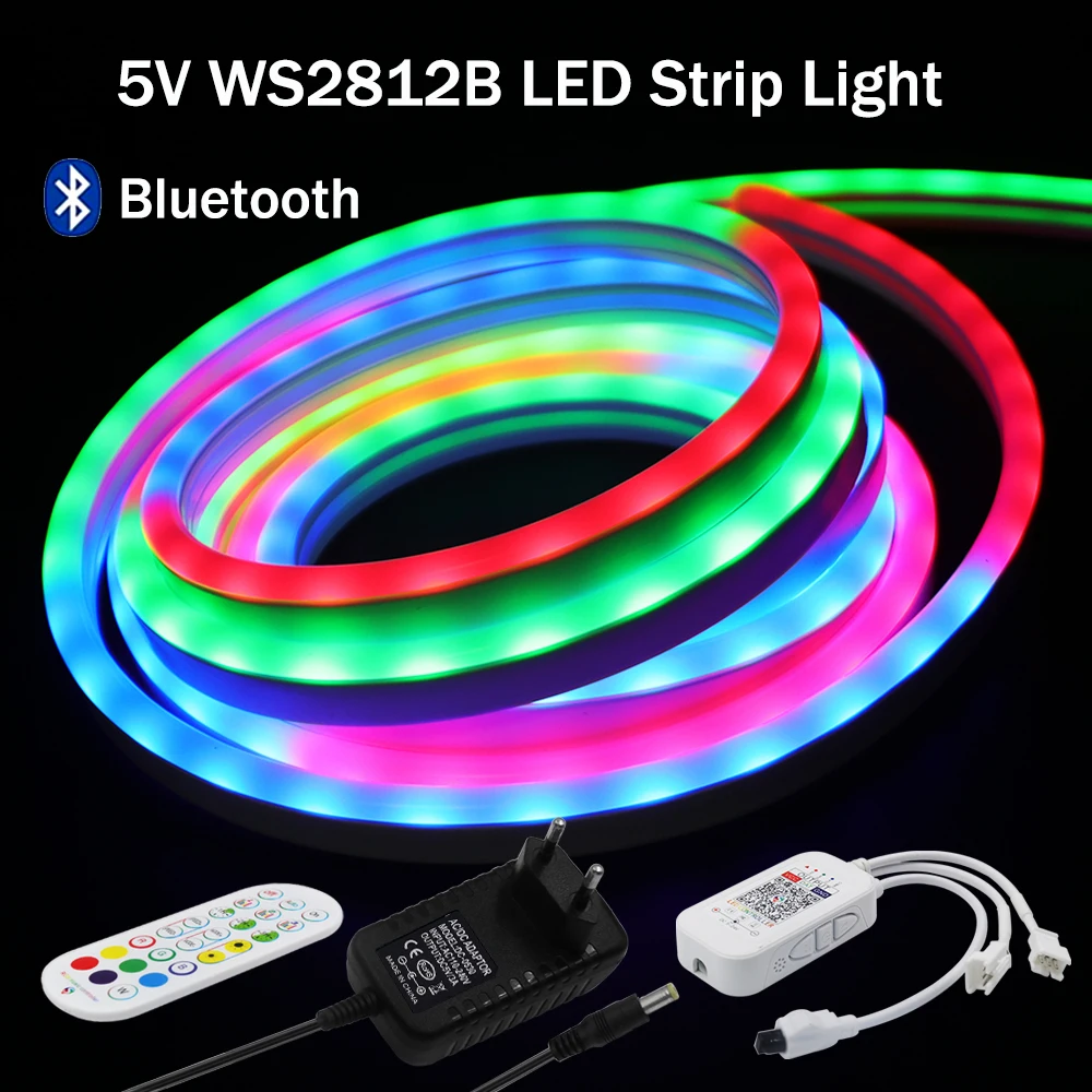 

5V WS2812B RGB LED Neon Light Dreamcolor Smart Bluetooth Flexible Silicone Neon Rope Lights with Remote Waterproof LED Strip 3m