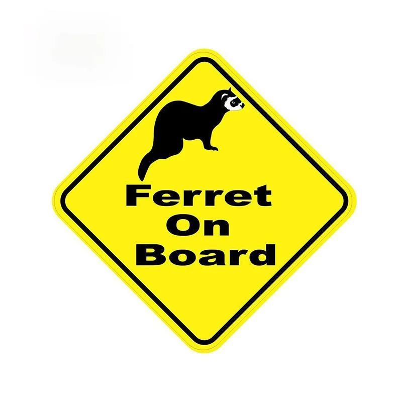 

Personality Customization for Ferret Rodent Do You Have A Problem Car Stickers Windows Waterproof Decal Laptop Bumper 13cm