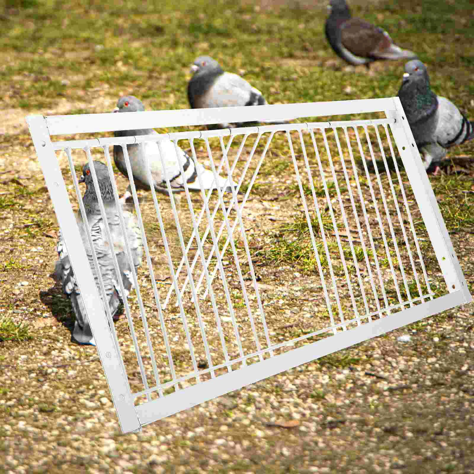 

Dove Birds House Door Hit The For Pigeon Cage Iron Supplies Entrance Wire Traps