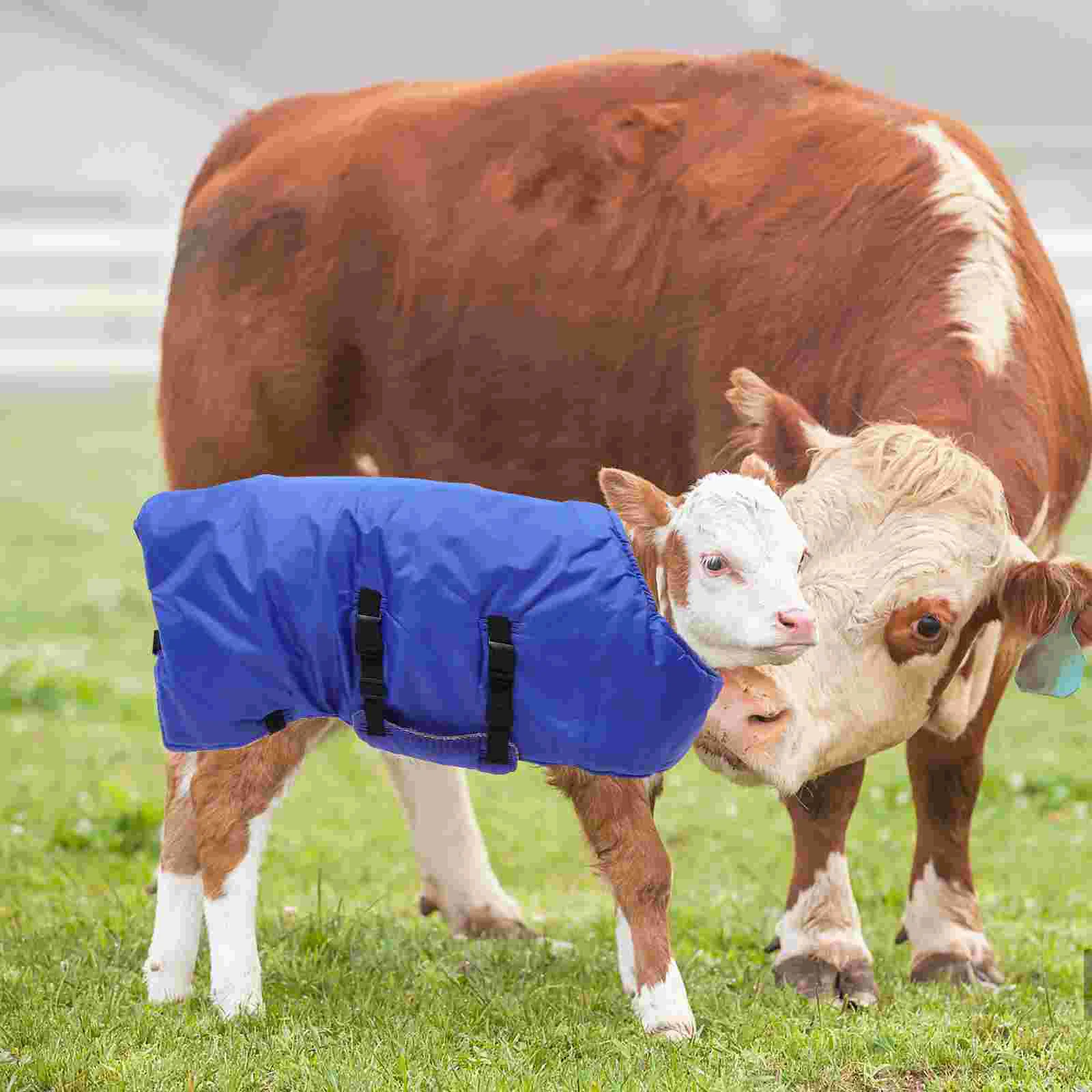 

Farm Calf Vest Warm Clothing Winter Coat Warm Apparel Pasture Cold Proof Clothing Calf Dog Wrap Thermal Insulation Coat Vest
