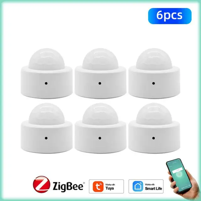 6pcs