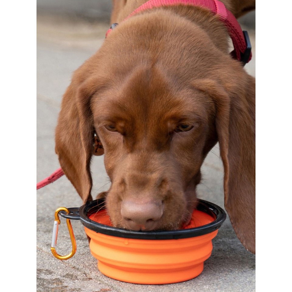 Portable Silicone Pet Bowl - Foldable, Hanging Hook, 350ML/1000ML, Durable for Outdoor Use
