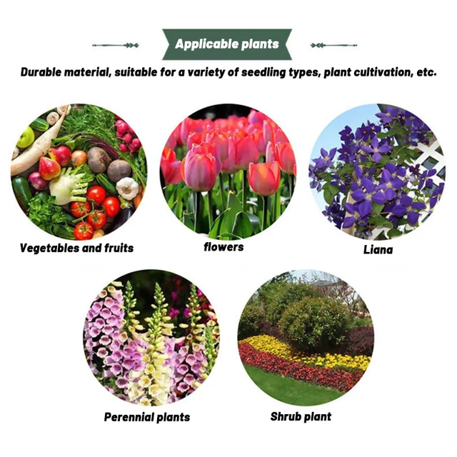 6Db Növényi Védelem Csengő Borító Újrafelhasználható Pvc Műanyag Kerti Óvodai Borítás Üvegházhatást Okozó Hőkezelő Üzem Burkolata - Image 5