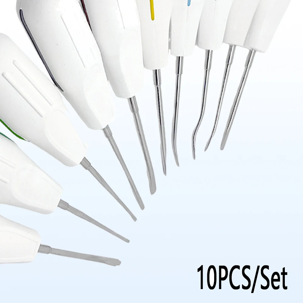 Dental Luxating Lift Curved Root Elevator Kit 10-teiliges Set für minimalinvasive Zahnextraktion und Oralchirurgie-Verfahren