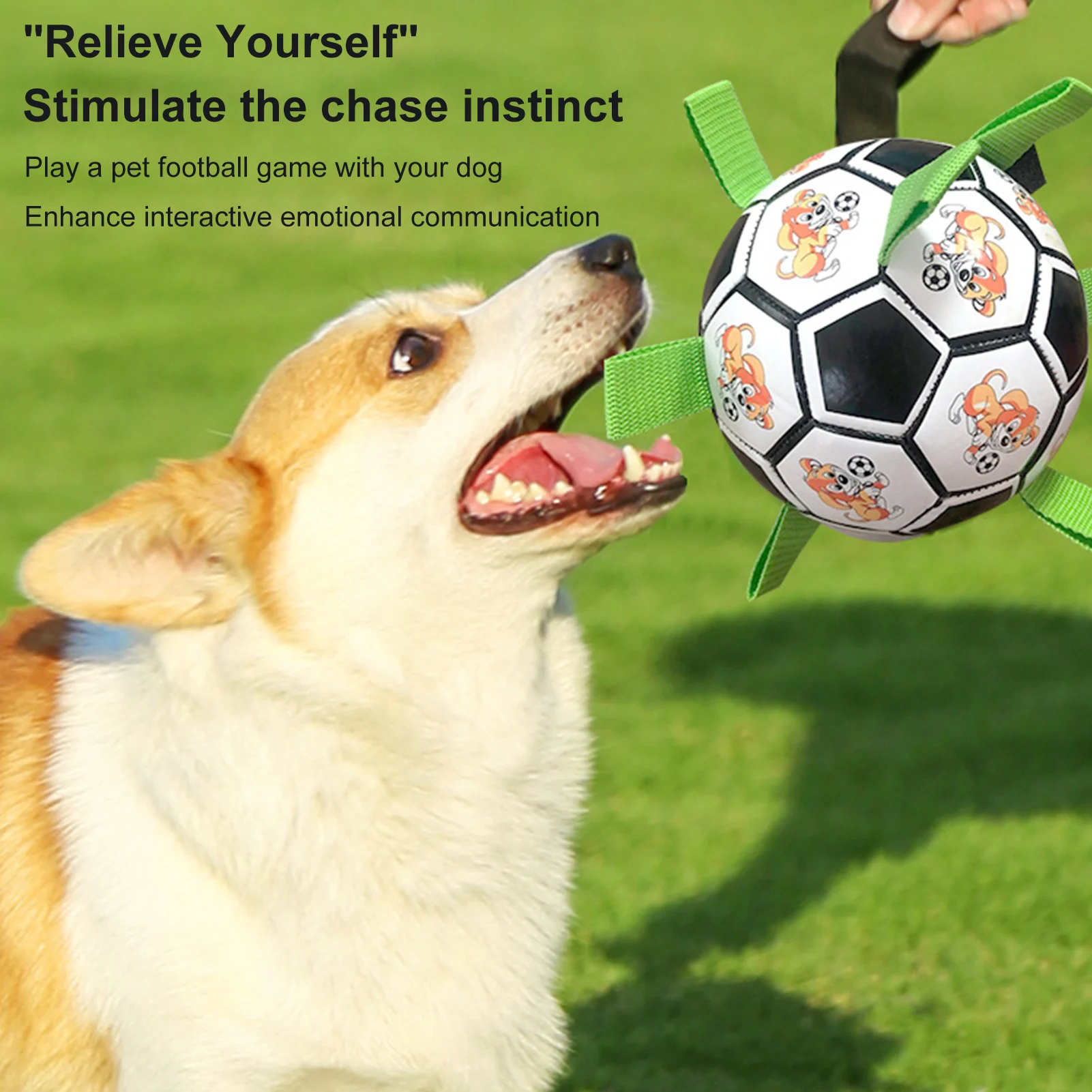 Jouet pour chien, balle de football pour chien, jouets interactifs