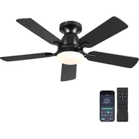 Ceiling Fans with Lights-  Low Profile Indoor Ceiling Fan with Light and Remote/APP Control, Flush Mount 2