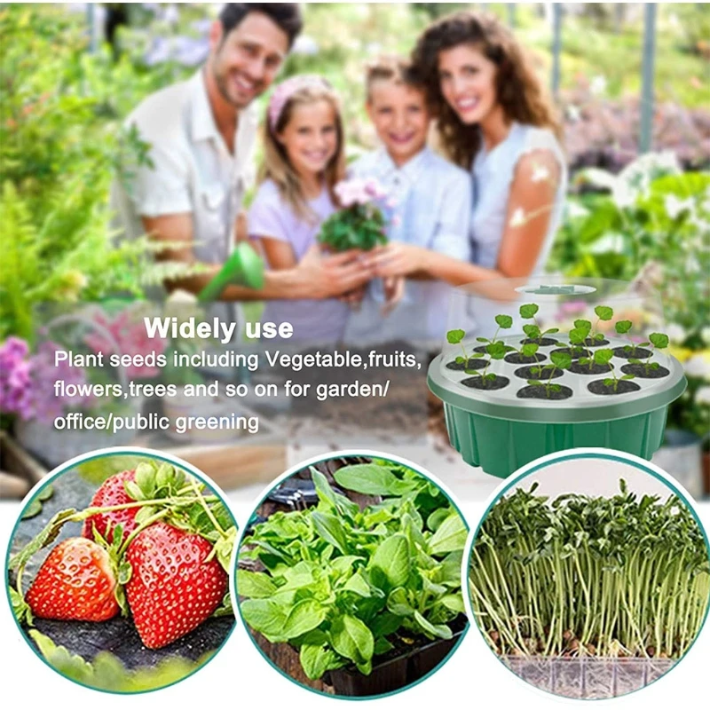 

Greenhouse with Ventilated Cover Seedling Tray for Outdoor Indoor Garden Pots