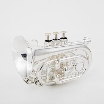 BACH Mini Pocket Trumpet Bb Flat Brass Wind Instrument with Mouthpiece Gloves Cleaning Cloth Carrying Case