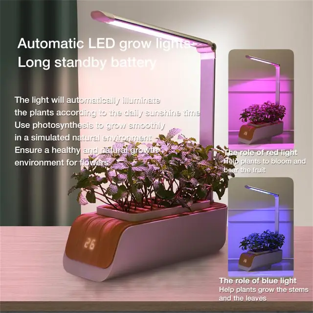 Hidroponikus Termesztési Rendszer Családi Mezőgazdasági Óvoda Tálca Beltéri Gyógynövény Led Grow Lights Automatikus Időzítő Intelligens Kert Ültetvény - Image 2