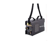 Portable mini electric welder pure copper home manual welding 220V inverter DC 2