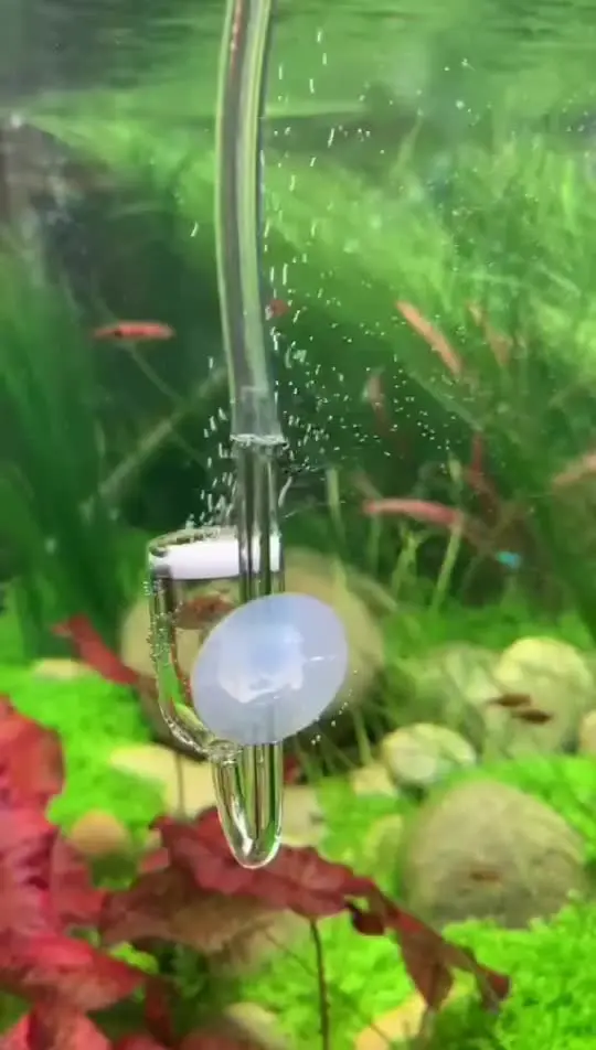 Externer CO2 Diffuser Aquarium - Aluminium Zerstäuber Mit Rückschlagventil