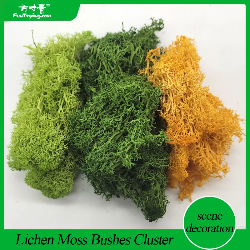 4 Moss Simulation Lifelike Lichen Grass Moss Scene Layout Prop Craft for  Home Shop